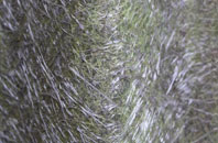 Levenwick fibreglass roof work